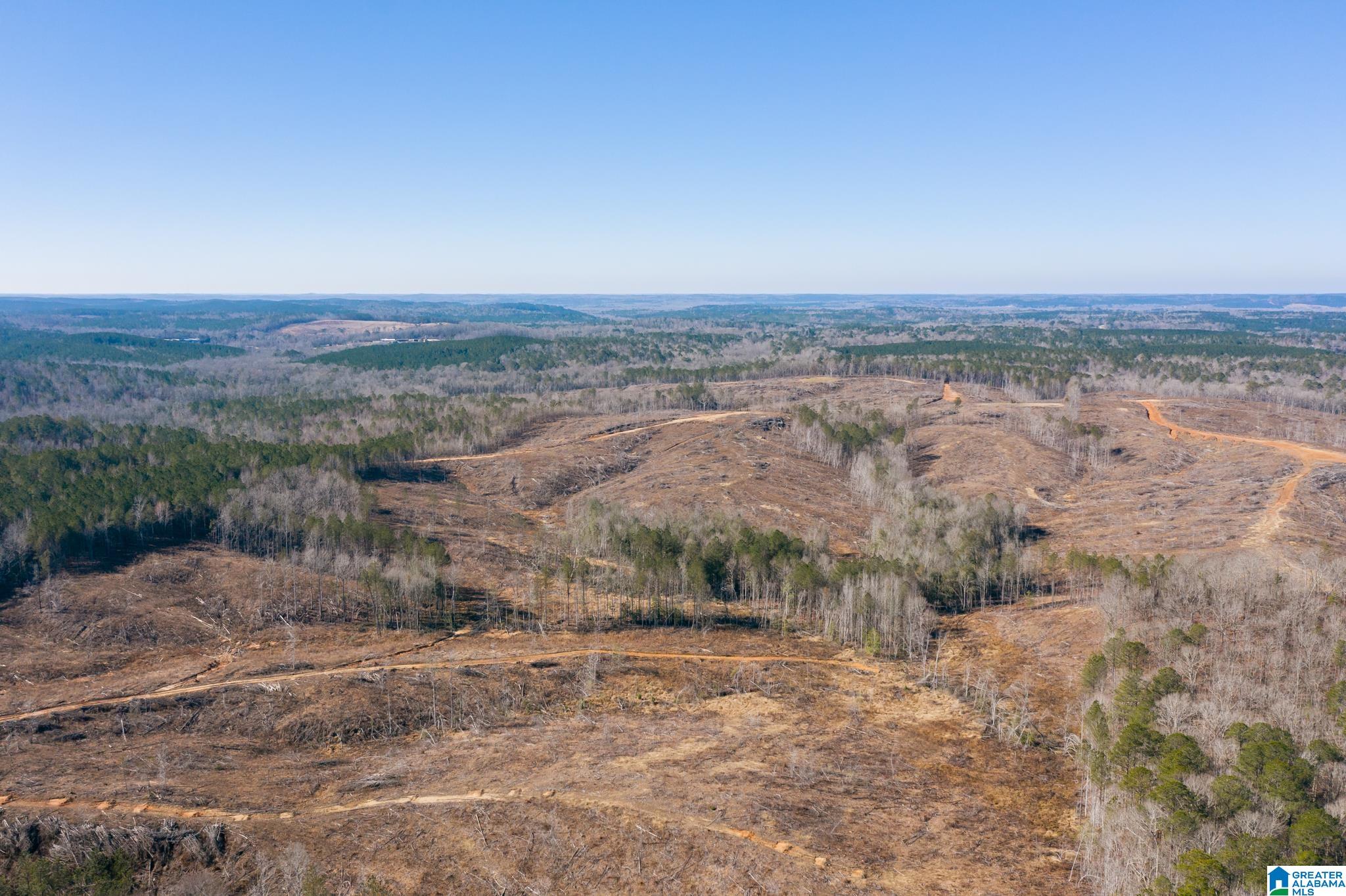 0 Harless Road Northport, AL 35475 - Photo 30 of 34