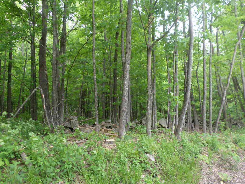 Orange Road, Unit 58 Canaan, NH 03741 - Photo 5 of 7 Gallery Image 5