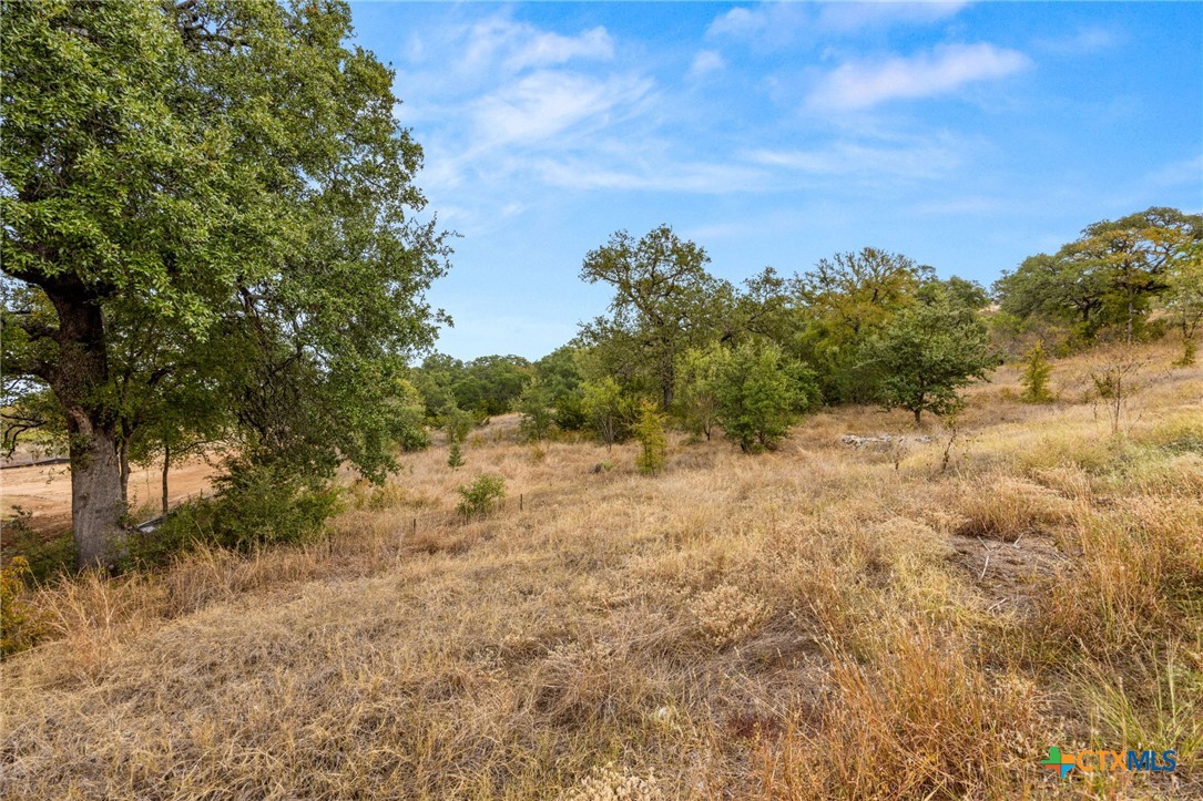 36 Keystone Ridge Buchanan Dam, TX 78609 - Photo 7 of 7 Nice Oak Trees on a gentle slope lot.
