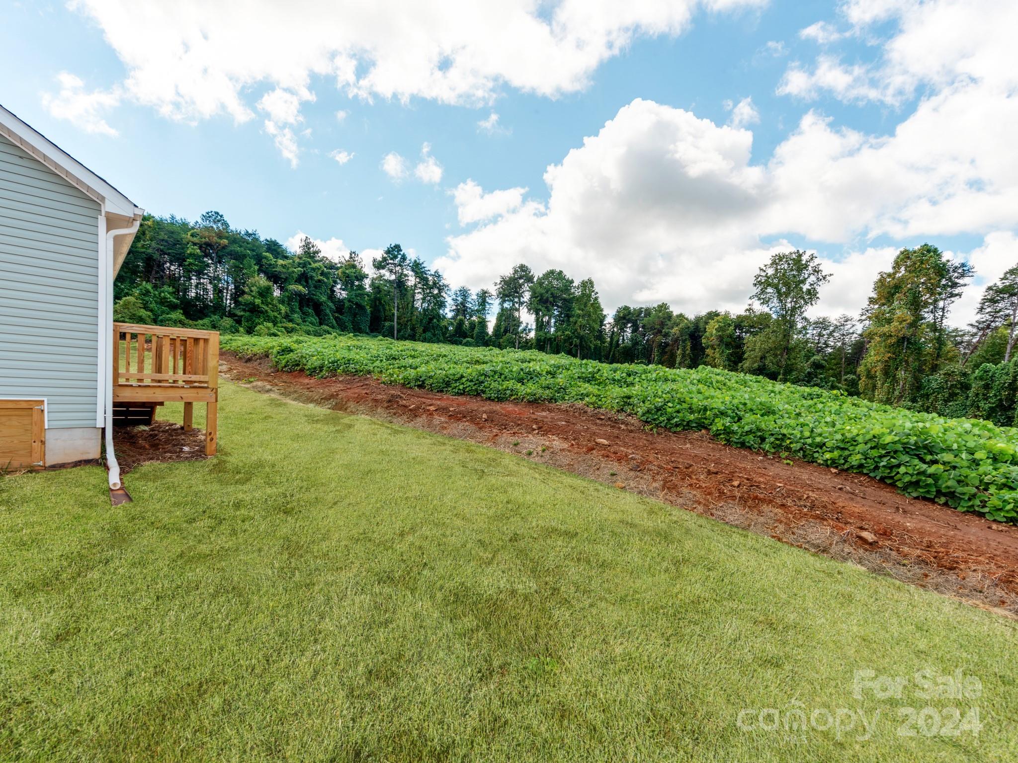 159 Forest Lake Road Forest City, NC 28043 - Photo 24 of 26 Gallery Image 24