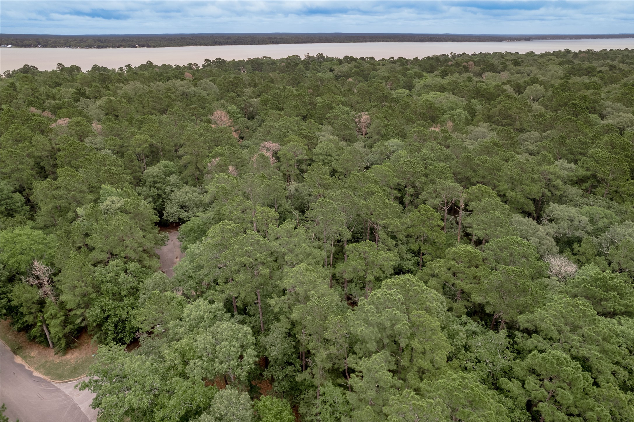 Lot 9 Rohm Place Point Blank, TX 77364 - Photo 16 of 26
