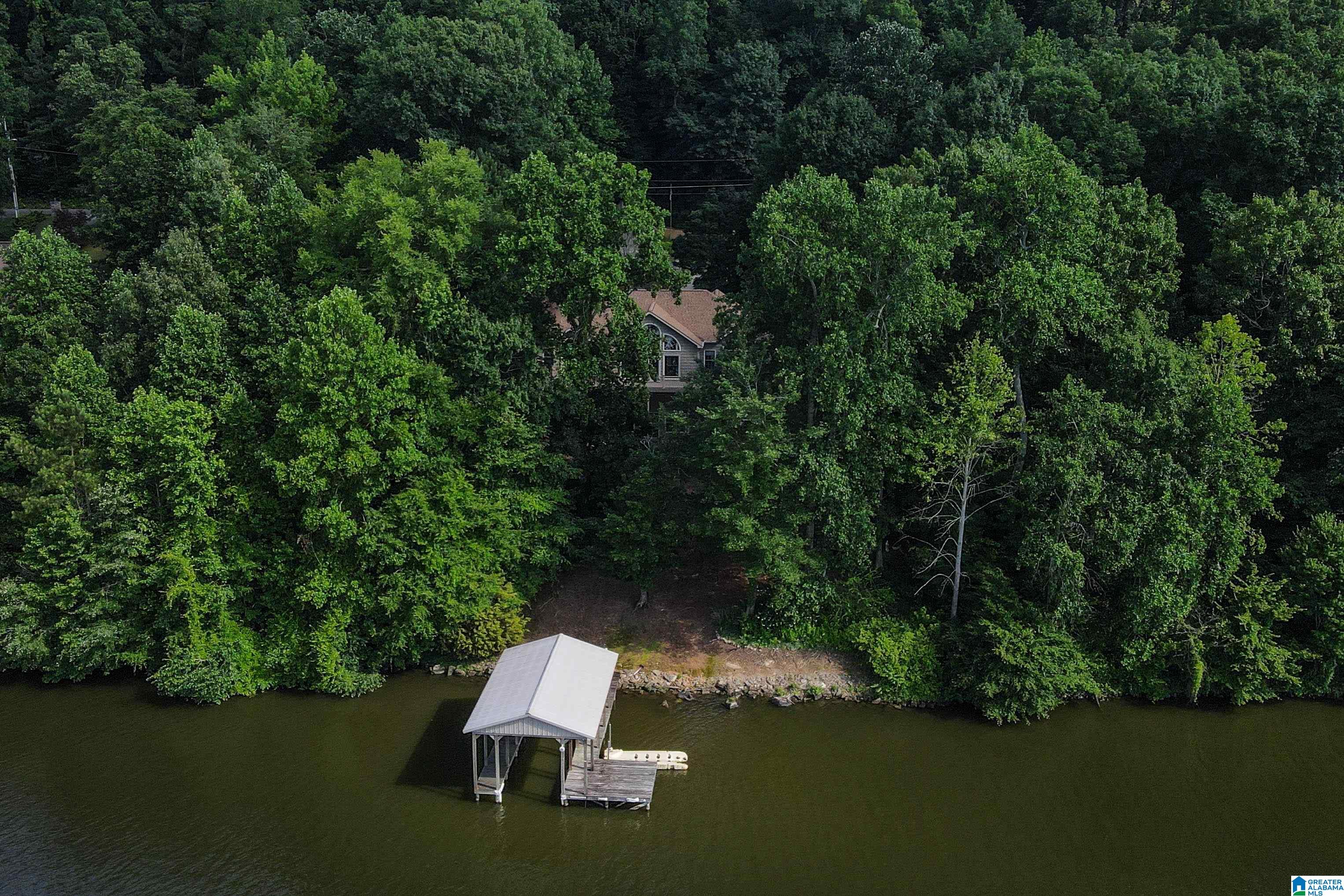318 Boulder Point Lane Ohatchee, AL 36271 - Photo 67 of 100