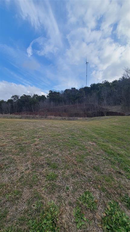 2103 Holly Ridge Court Cedar Hill, TX 75104 - Photo 8 of 9