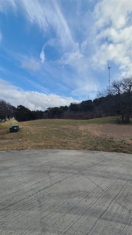 2103 Holly Ridge Court Cedar Hill, TX 75104 - Photo 9 of 9