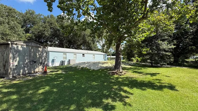 a view of a backyard with large trees and plants