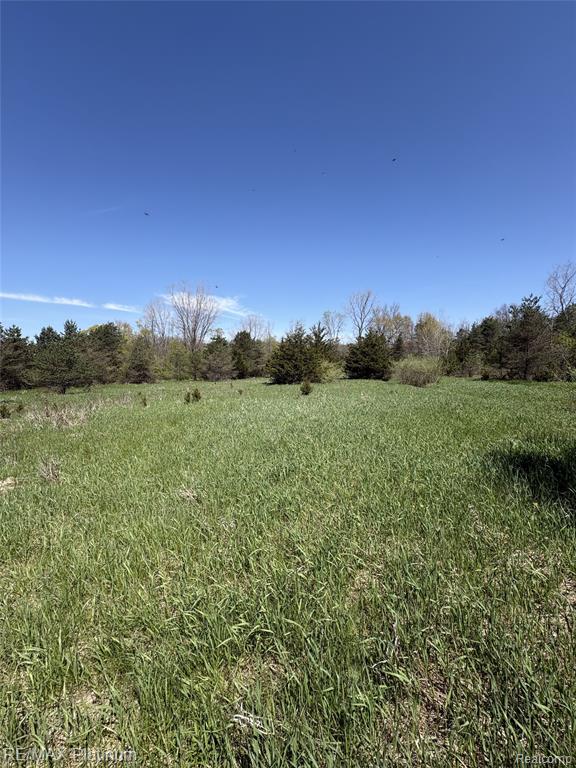 Parcel 2 Pineway Trail Howell, MI 48855 - Photo 2 of 15