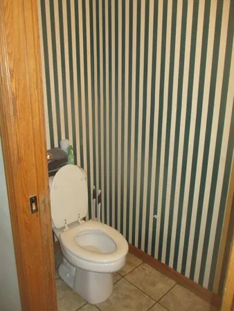 a white toilet sitting next to a shower curtain