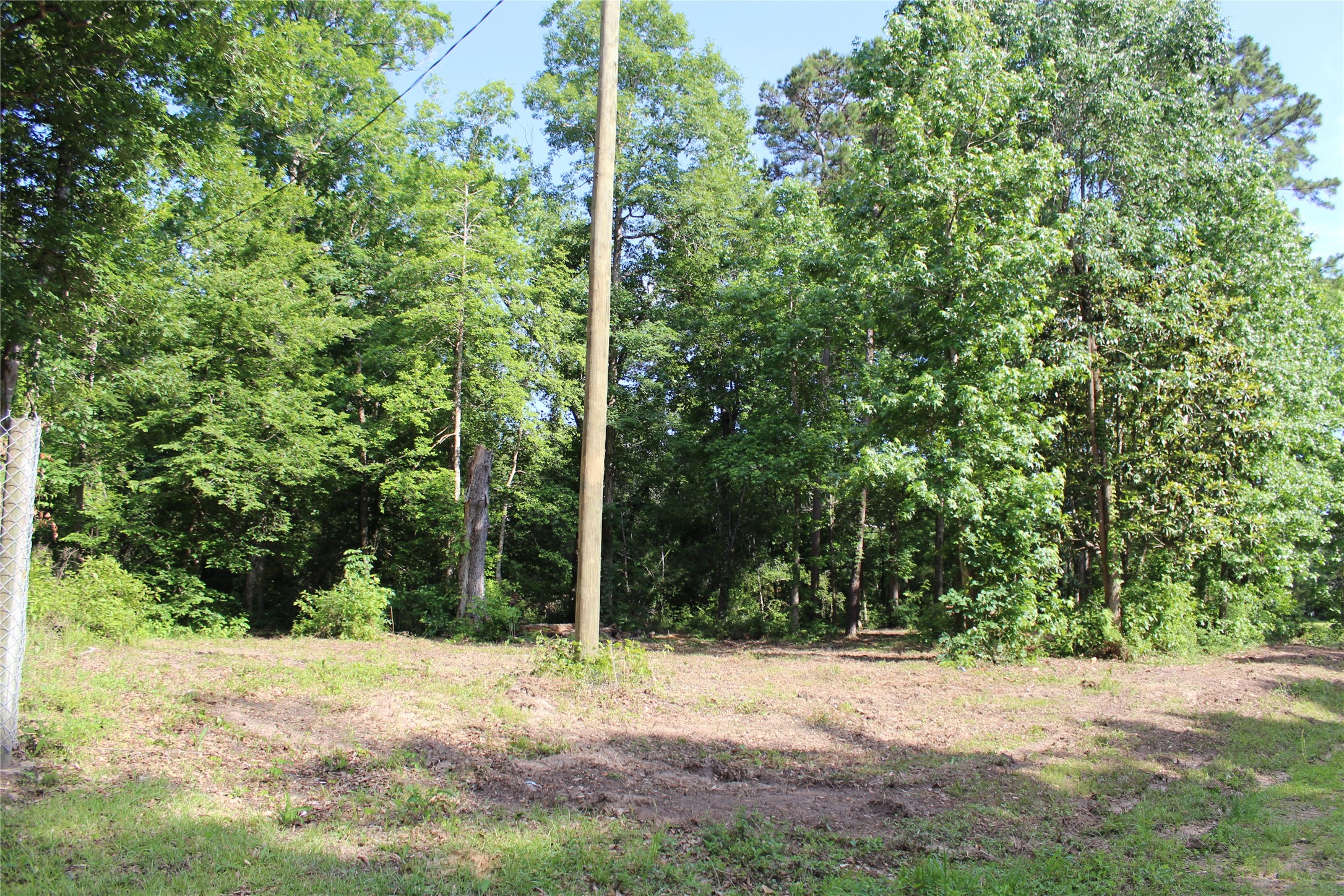 400 Carson Roberson Road Livingston, TX 77351 - Photo 7 of 19 a view of a yard with plants and trees