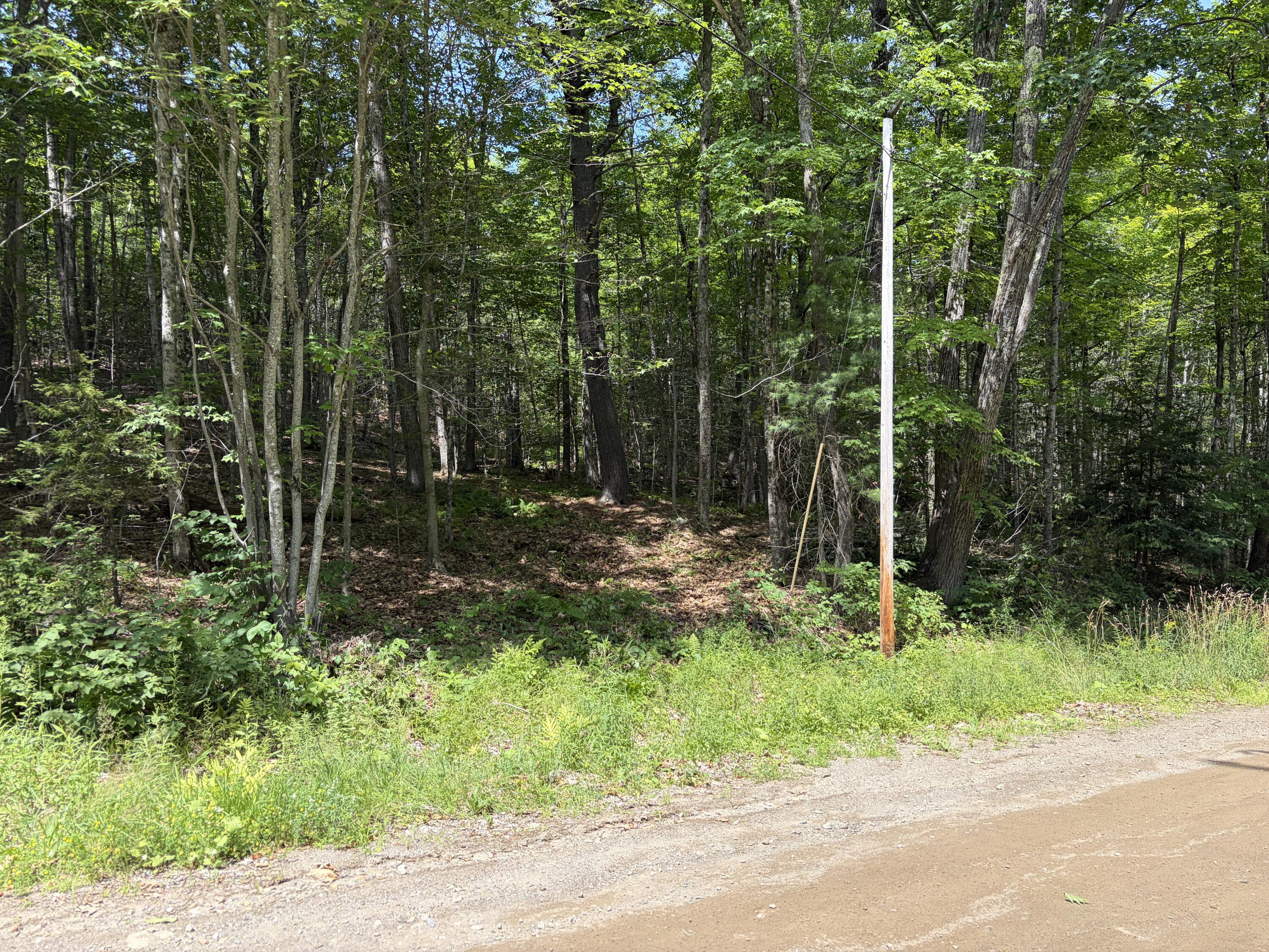 3.41-acres Belden Woods Road Palermo, ME 04354 - Photo 4 of 17 IMG_8422