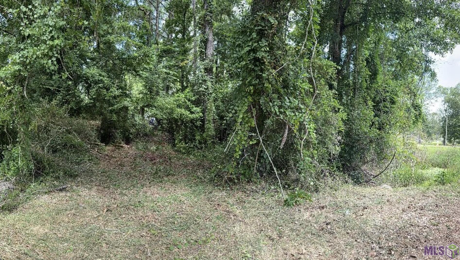 37031 Walker North Road Walker, LA 70785 - Photo 2 of 2