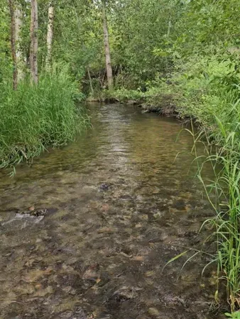 $674,000 | 2367 Morse Way, Chewelah, WA 99109