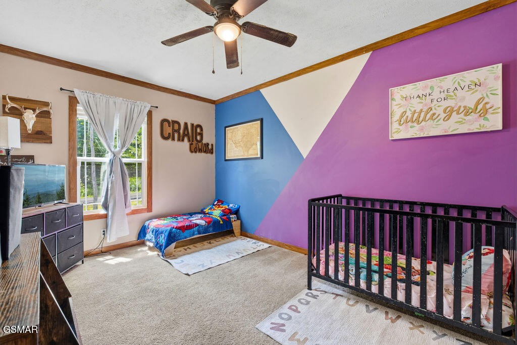 704 Mize Road Seymour, TN 37865 - Photo 31 of 47 Gallery Image 31