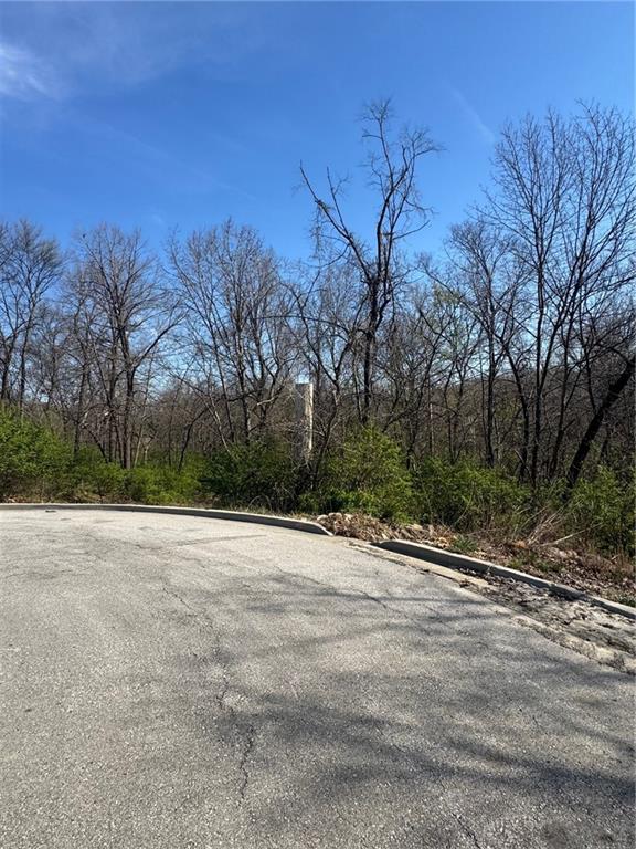 0 Cerrito Street Independence, MO 64050 - Photo 3 of 5