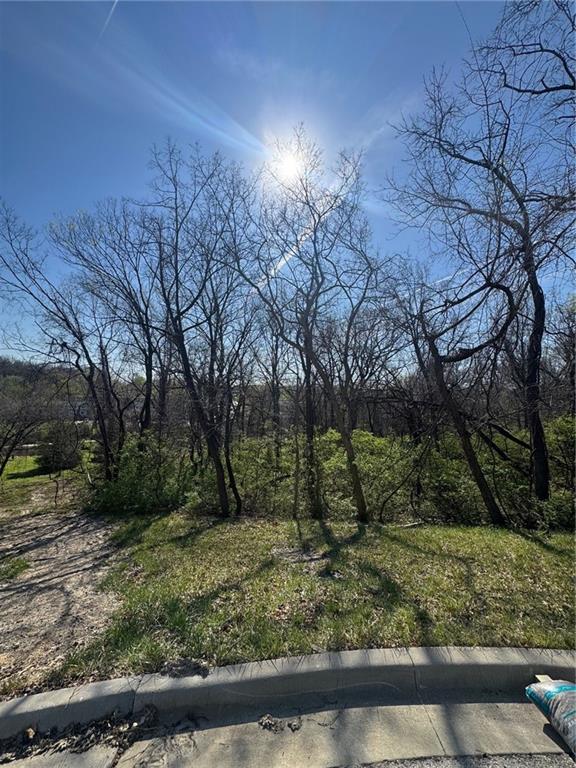 0 Cerrito Street Independence, MO 64050 - Photo 4 of 5