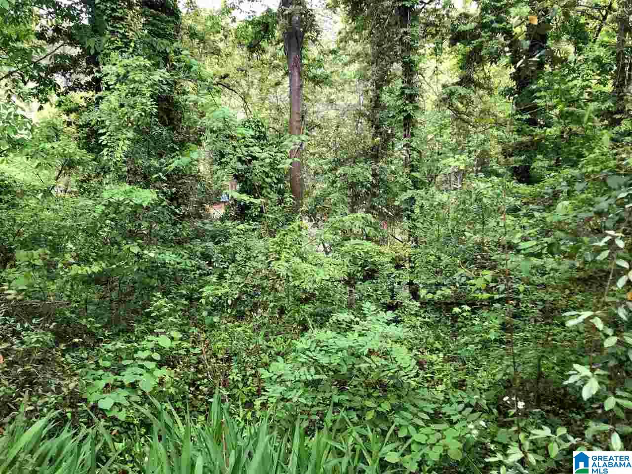 3220 Georgetown Place Birmingham, AL 35216 - Photo 13 of 13
