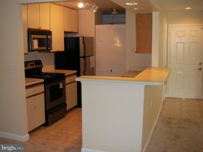 13705 Modrad Way, Unit 11 Silver Spring, MD 20904 - Photo 2 of 10 Kitchen