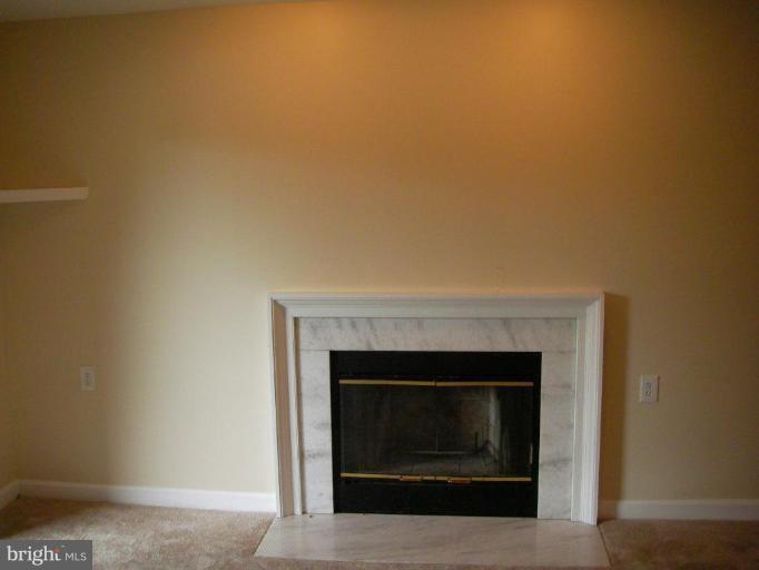 13705 Modrad Way, Unit 11 Silver Spring, MD 20904 - Photo 8 of 10 Fireplace