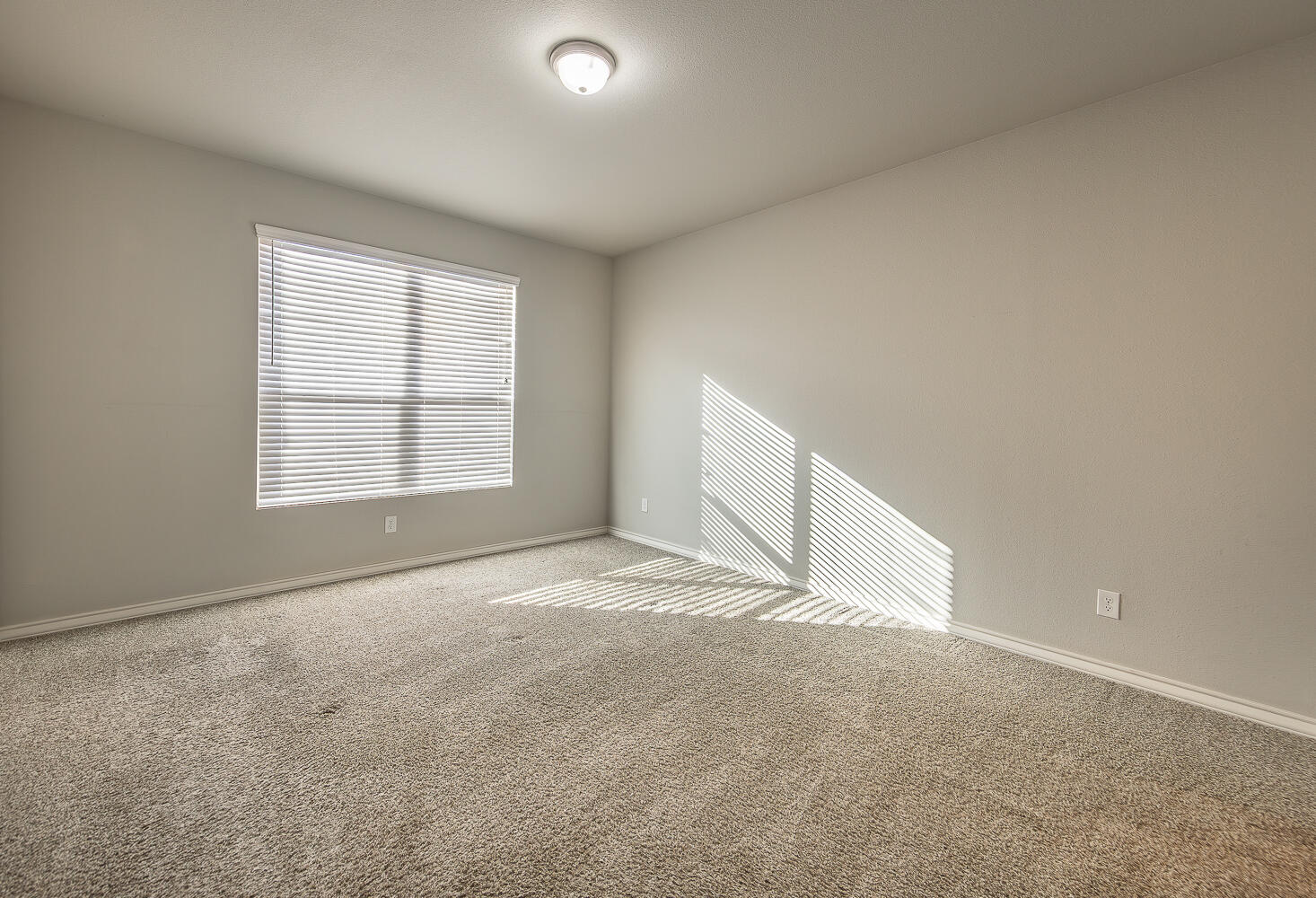 7008 21st Street Lubbock, TX 79407 - Photo 11 of 25 2L9A8764