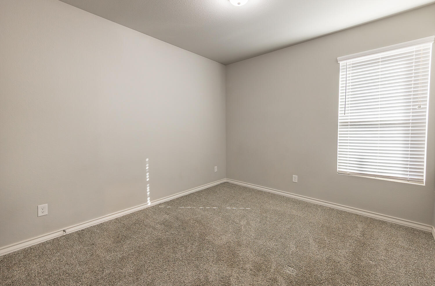 7008 21st Street Lubbock, TX 79407 - Photo 14 of 25 2L9A8788