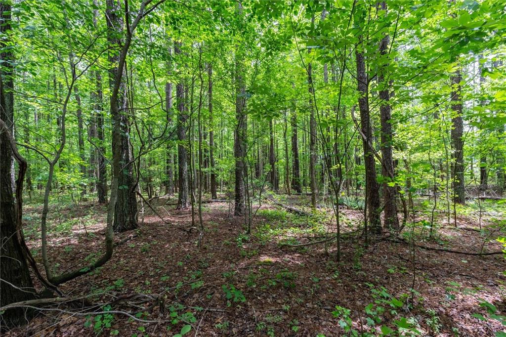 0 Macland Road Dallas, GA 30157 - Photo 12 of 12 a view of outdoor space and trees