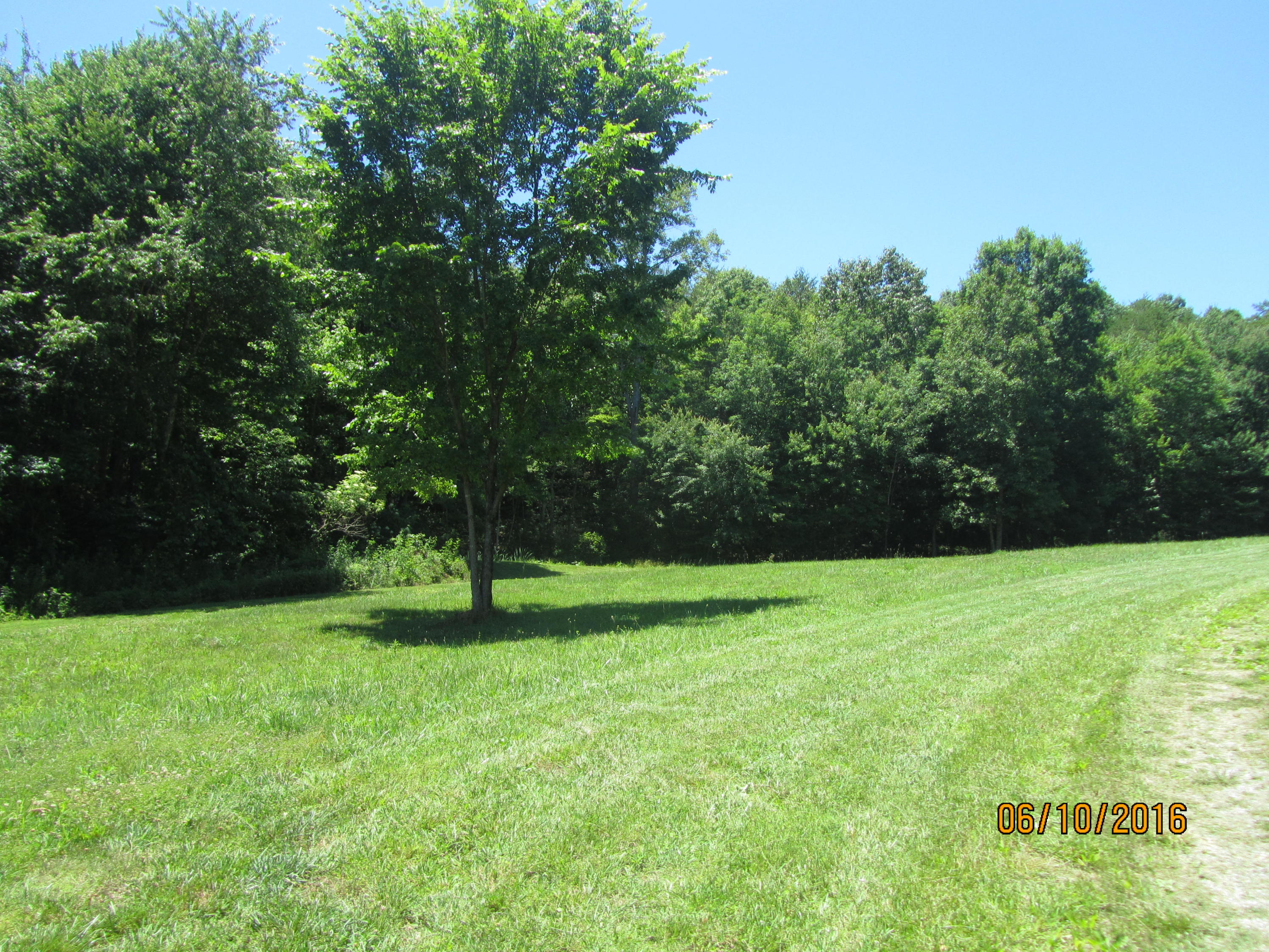 189 Jim Davis Road Tellico Plains, TN 37385 - Photo 2 of 34 IMG_3758