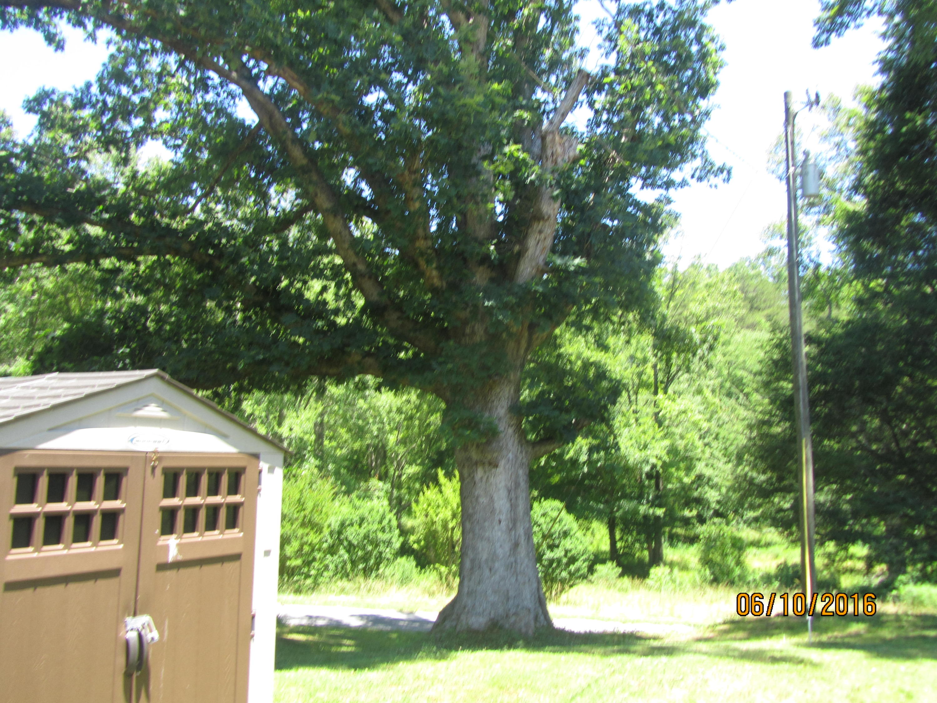 189 Jim Davis Road Tellico Plains, TN 37385 - Photo 15 of 34 IMG_3768