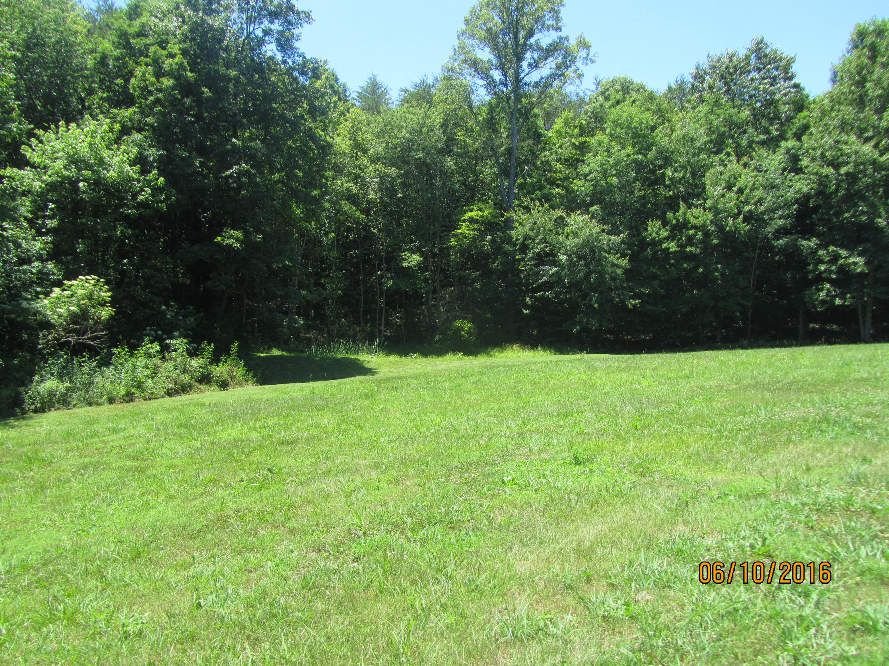 189 Jim Davis Road Tellico Plains, TN 37385 - Photo 7 of 34 IMG_3760