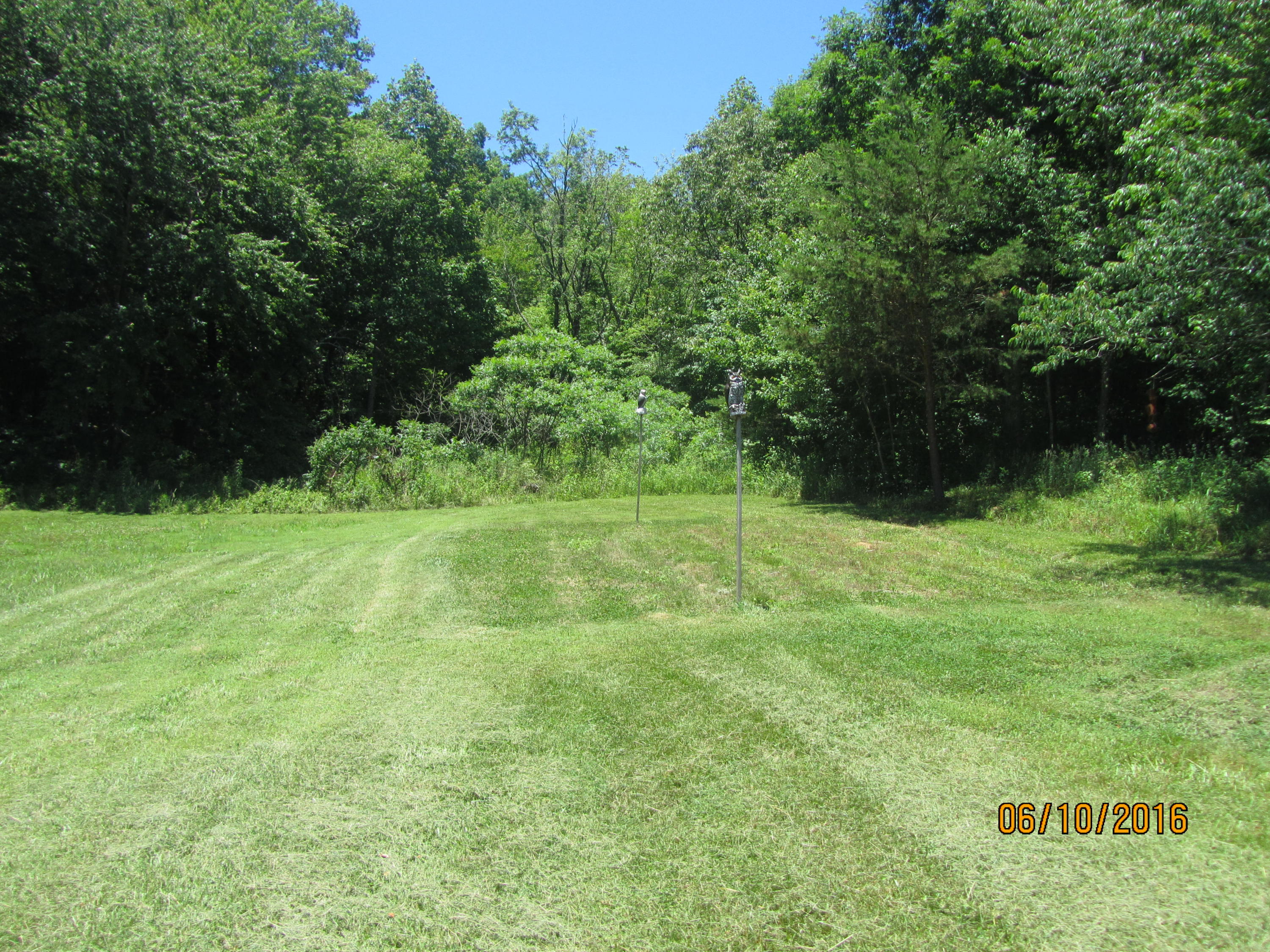 189 Jim Davis Road Tellico Plains, TN 37385 - Photo 10 of 34 IMG_3763