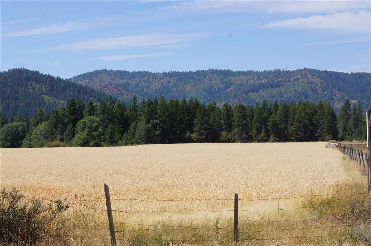 4800 Williams Valley Road Clayton, WA 99110 - Photo 3 of 19 Gallery Image 3