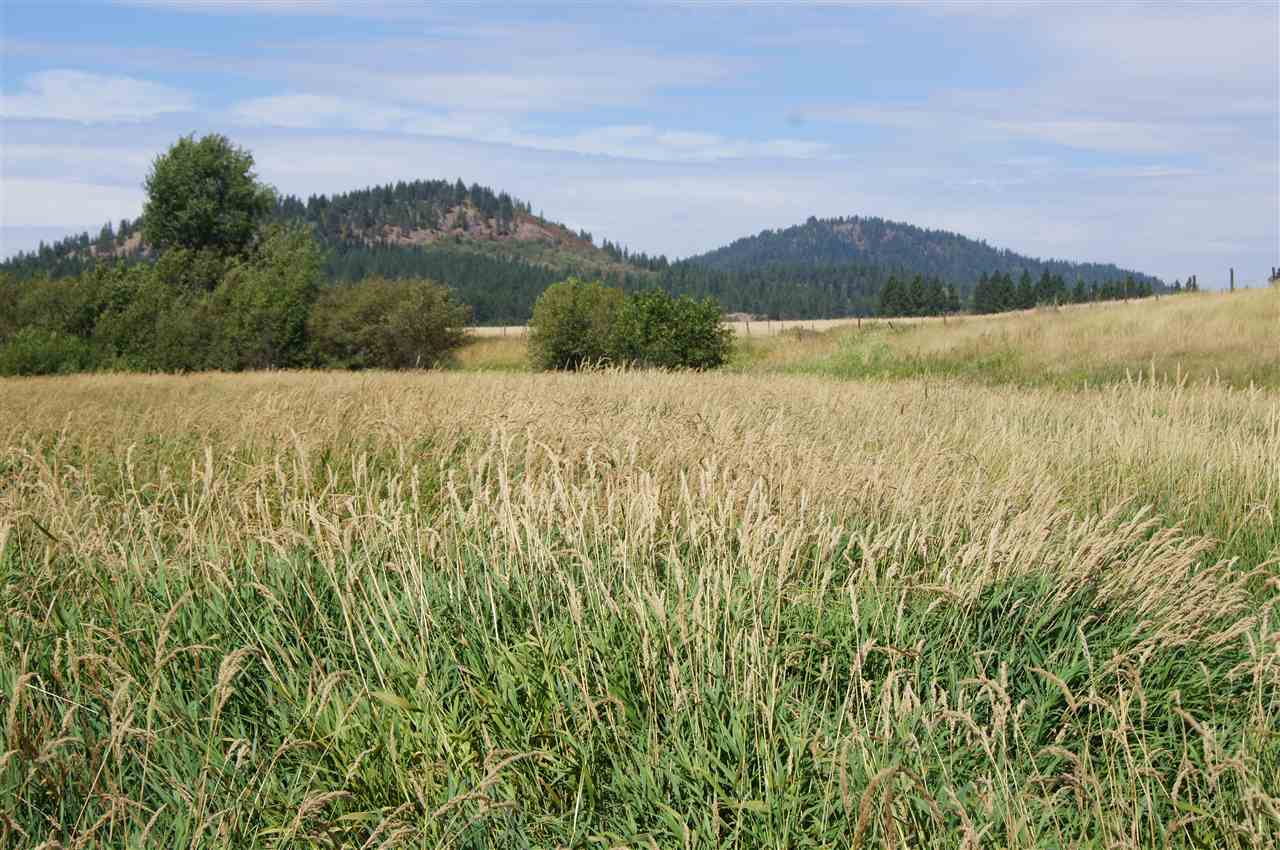 4800 Williams Valley Road Clayton, WA 99110 - Photo 5 of 19 Gallery Image 5