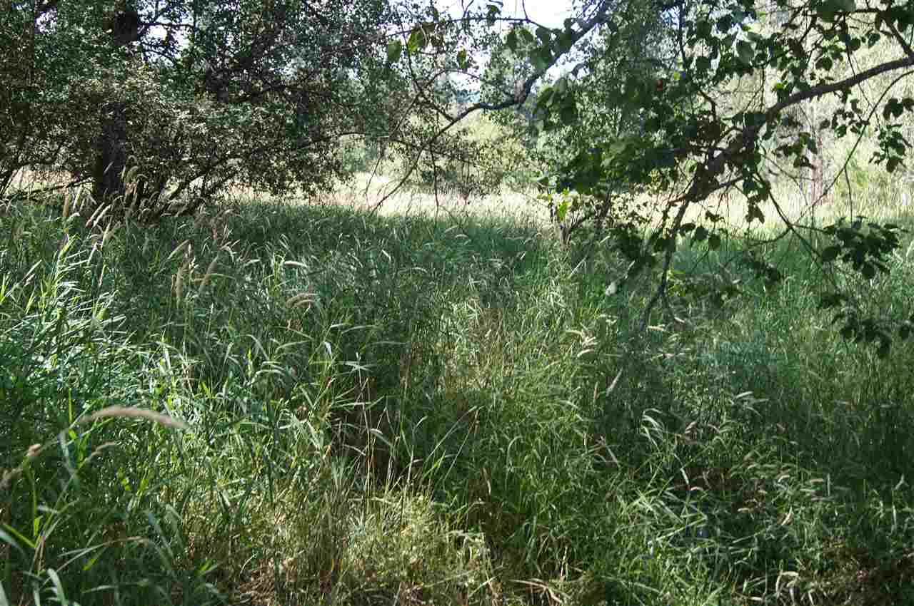 4800 Williams Valley Road Clayton, WA 99110 - Photo 8 of 19 Gallery Image 8