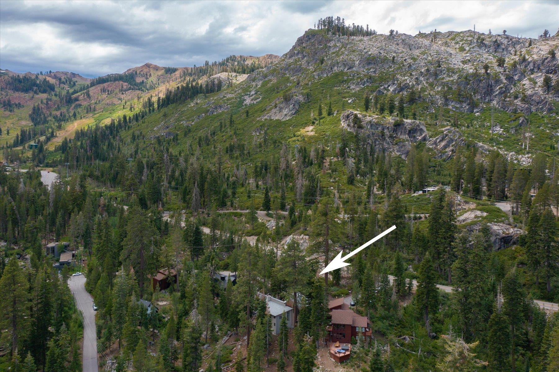 a view of a city with lush green forest