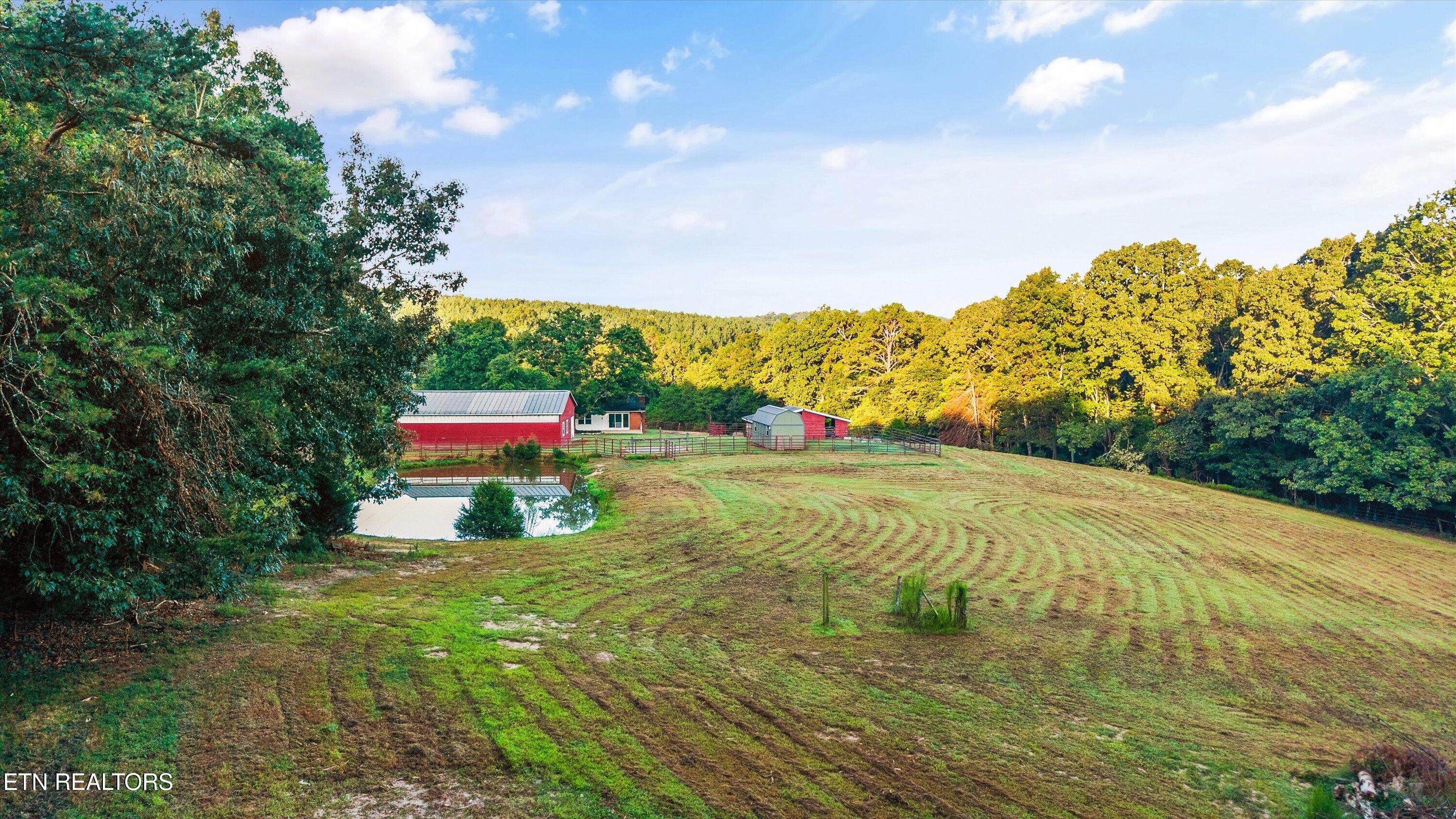 340 Pattie Gap Road Philadelphia, TN 37846 - Photo 41 of 44 41-340 Pattie Gap Rd 04