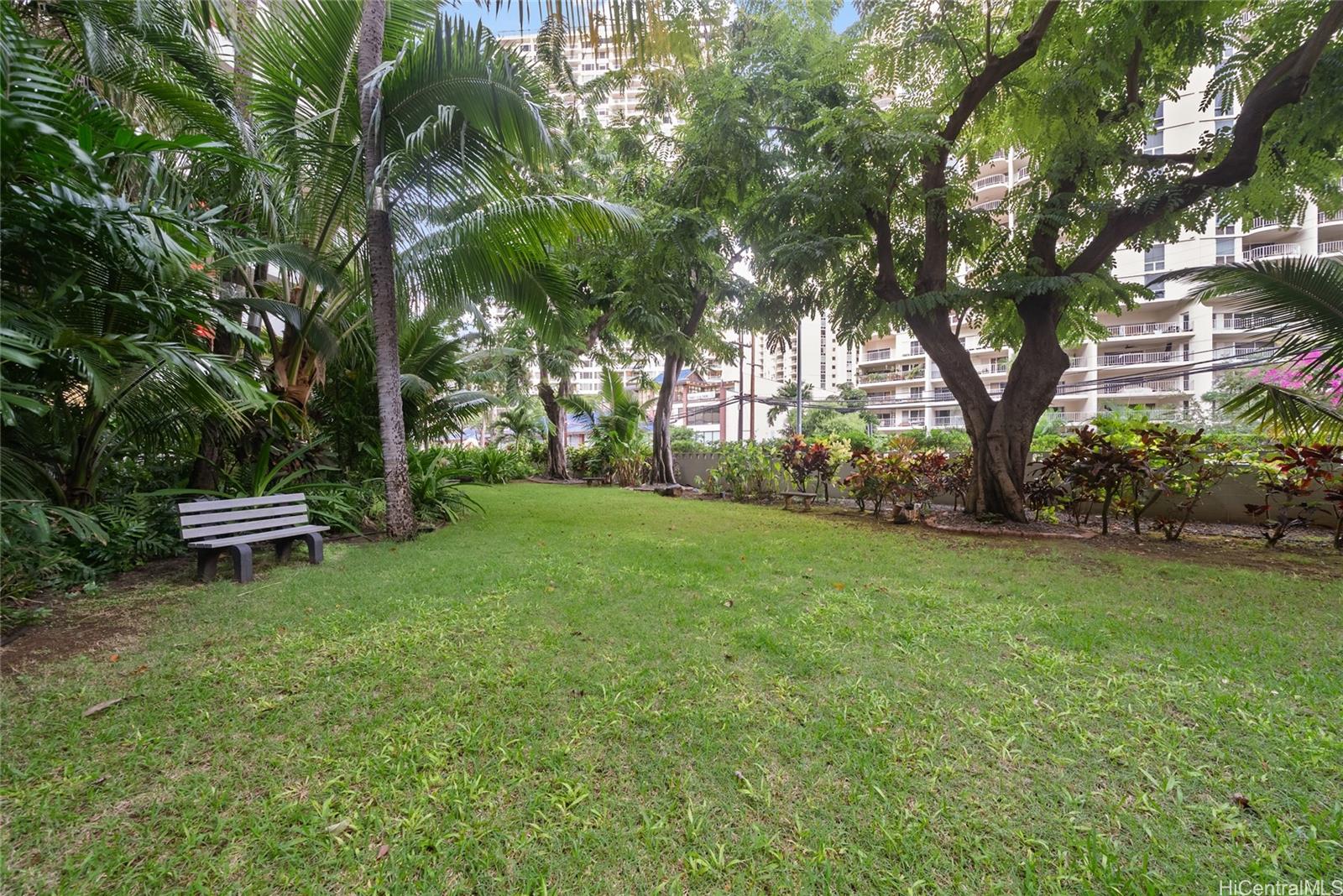 425 Ena Road, Unit B602 Honolulu, HI 96815 - Photo 16 of 16 a view of backyard with a table and chairs and a large tree