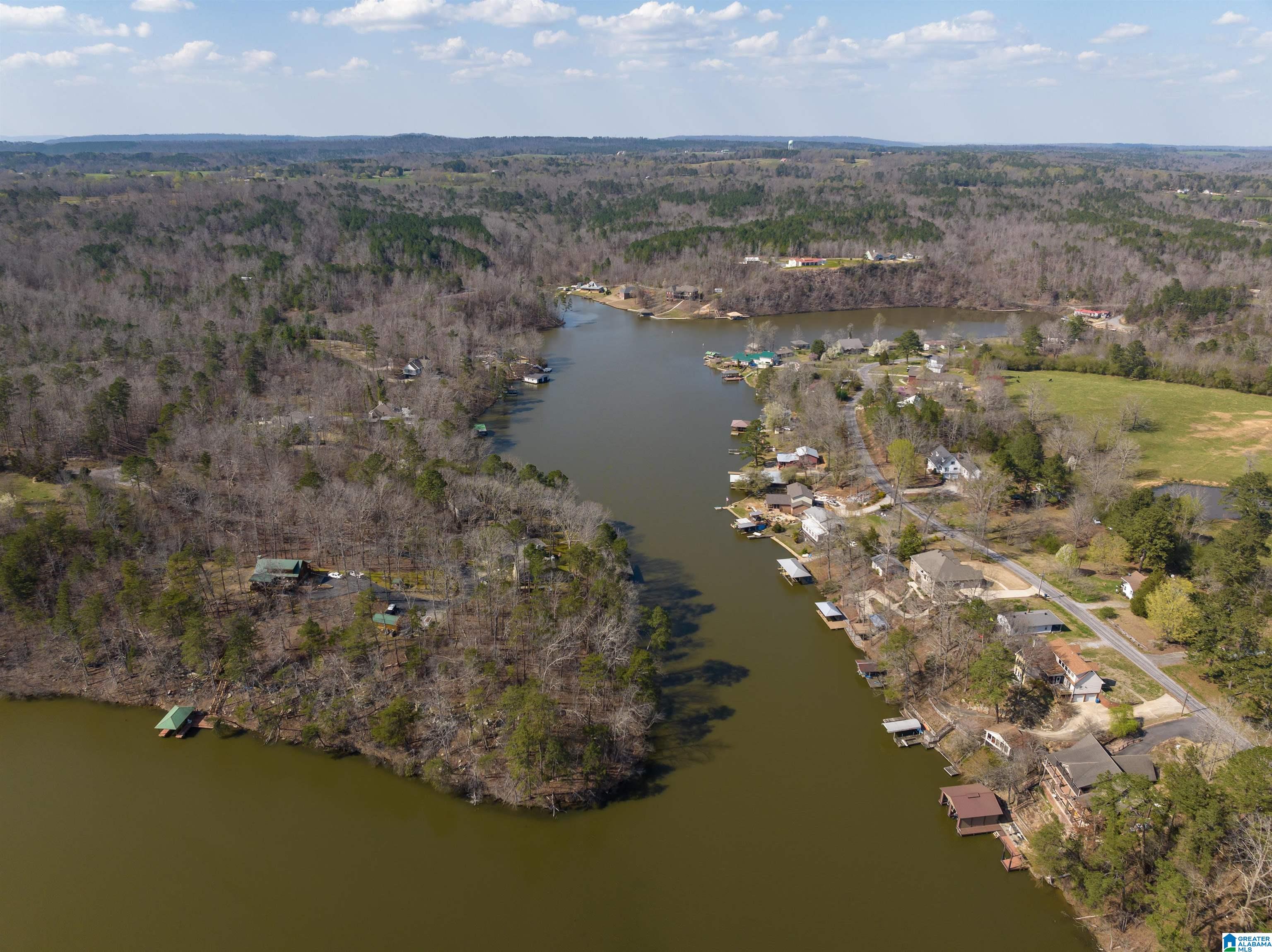 401 Lakeshore Lane Oneonta, AL 35121 - Photo 21 of 24