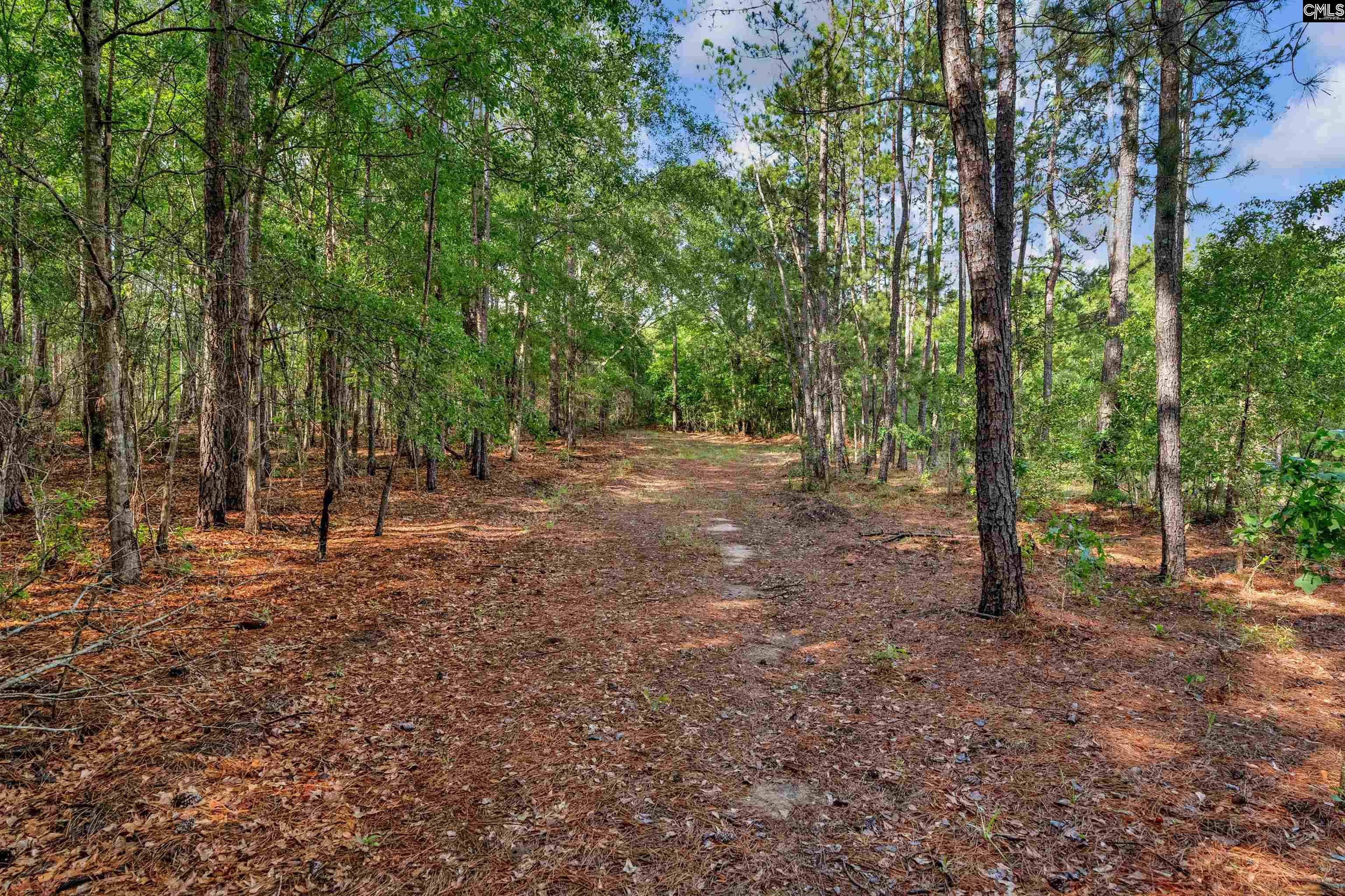 0 North Brewington Road, Unit 10 Manning, SC 29102 - Photo 29 of 29