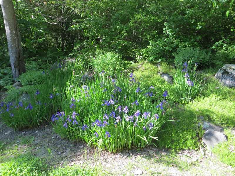 69 Lincoln Point Road Wayne, ME 04284 - Photo 33 of 35 Yard/Garden. At the driveway entrance.