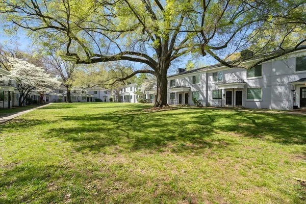 a tree in a yard next to a building