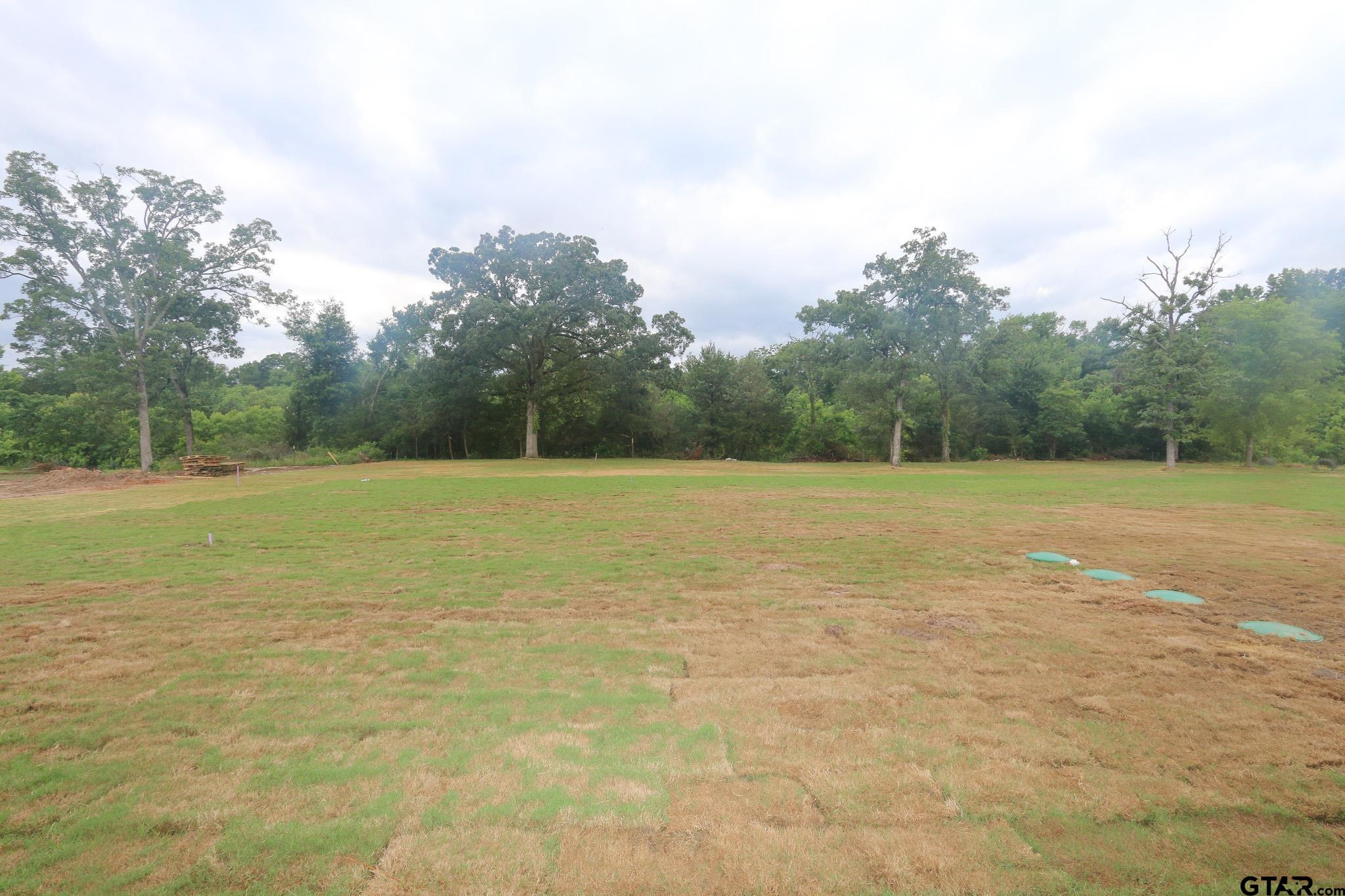 16511 Cooper Way Flint, TX 75762 - Photo 44 of 44 a view of a green field and trees in the background