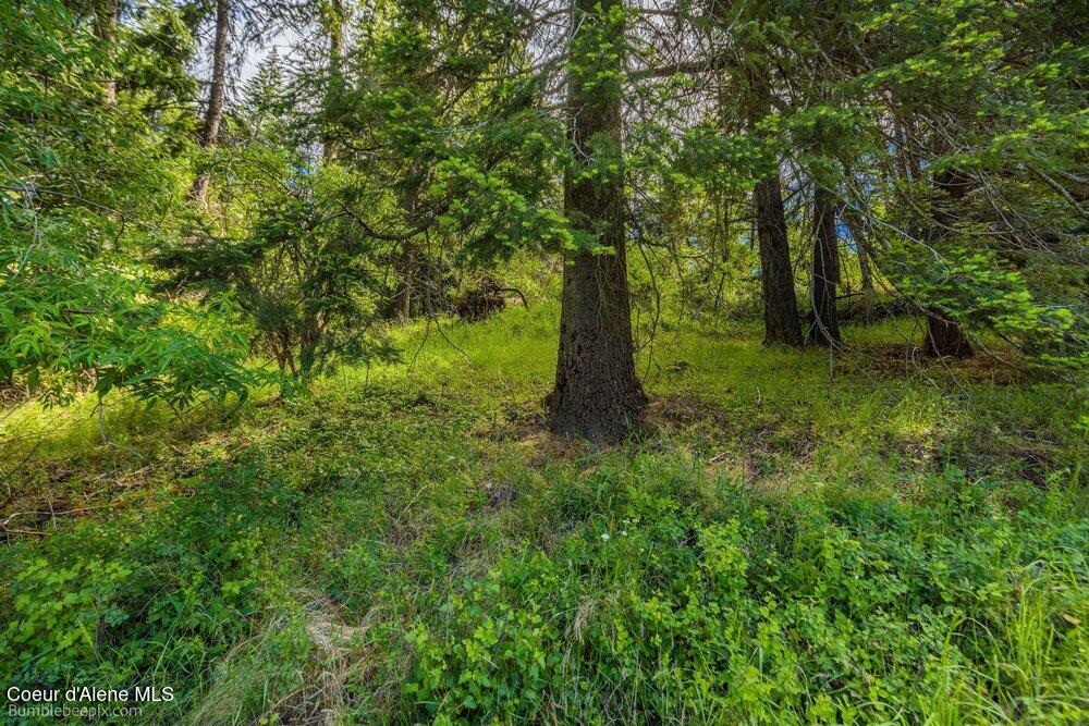 6864 East Sunnyside Road Coeur D'Alene, ID 83814 - Photo 52 of 75 050_bb193663-50_293