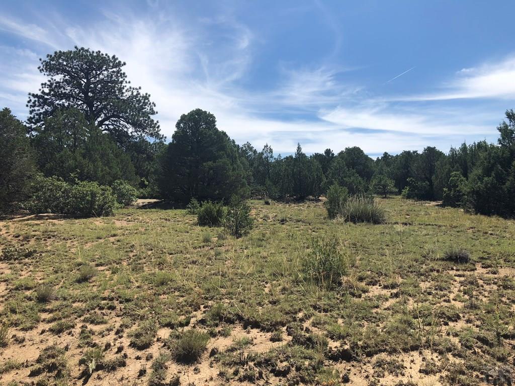 Lot 30 Silver Spur Road Walsenburg, CO 81089 - Photo 13 of 36 Gallery Image 13