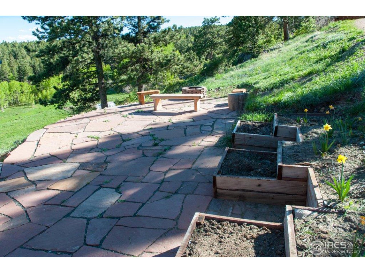 229 Jed Smith Road Ward, CO 80481 - Photo 14 of 20 a view of a backyard with sitting area