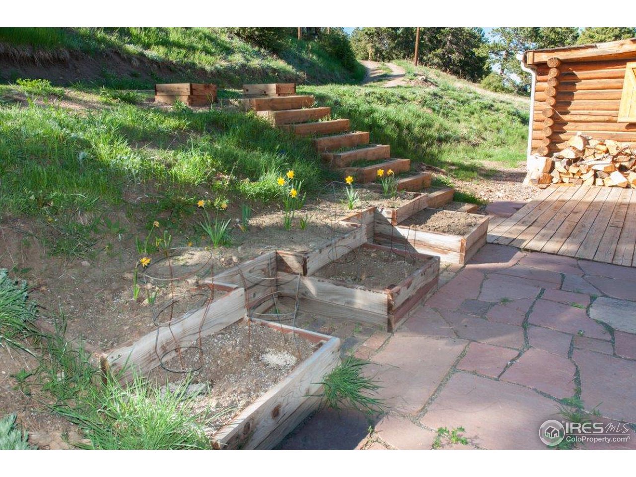 229 Jed Smith Road Ward, CO 80481 - Photo 15 of 20 a view of a yard with an outdoor space