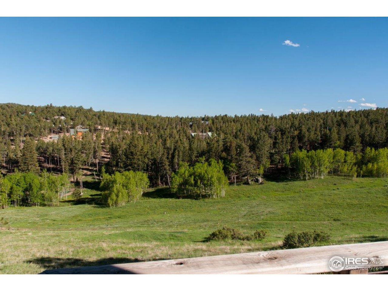 229 Jed Smith Road Ward, CO 80481 - Photo 16 of 20 a view of a golf course with a field