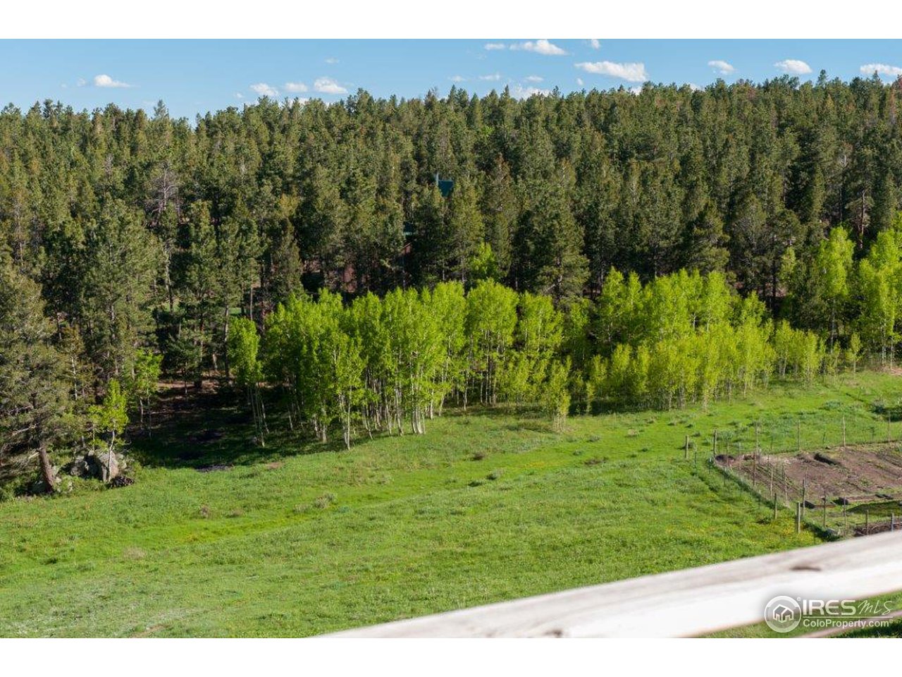 229 Jed Smith Road Ward, CO 80481 - Photo 17 of 20 a backyard of a house with lots of green space