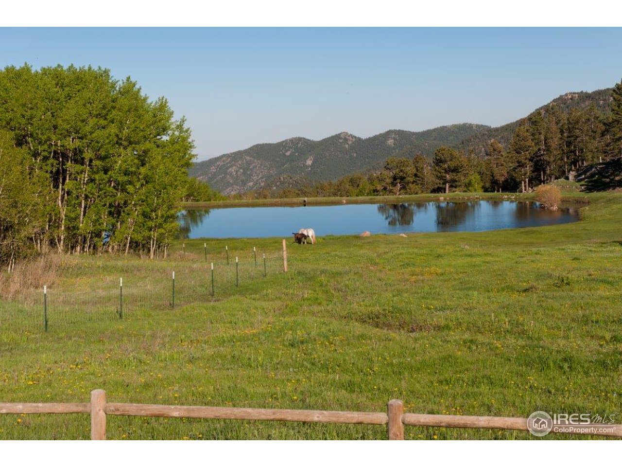 229 Jed Smith Road Ward, CO 80481 - Photo 18 of 20 a view of lake with mountain