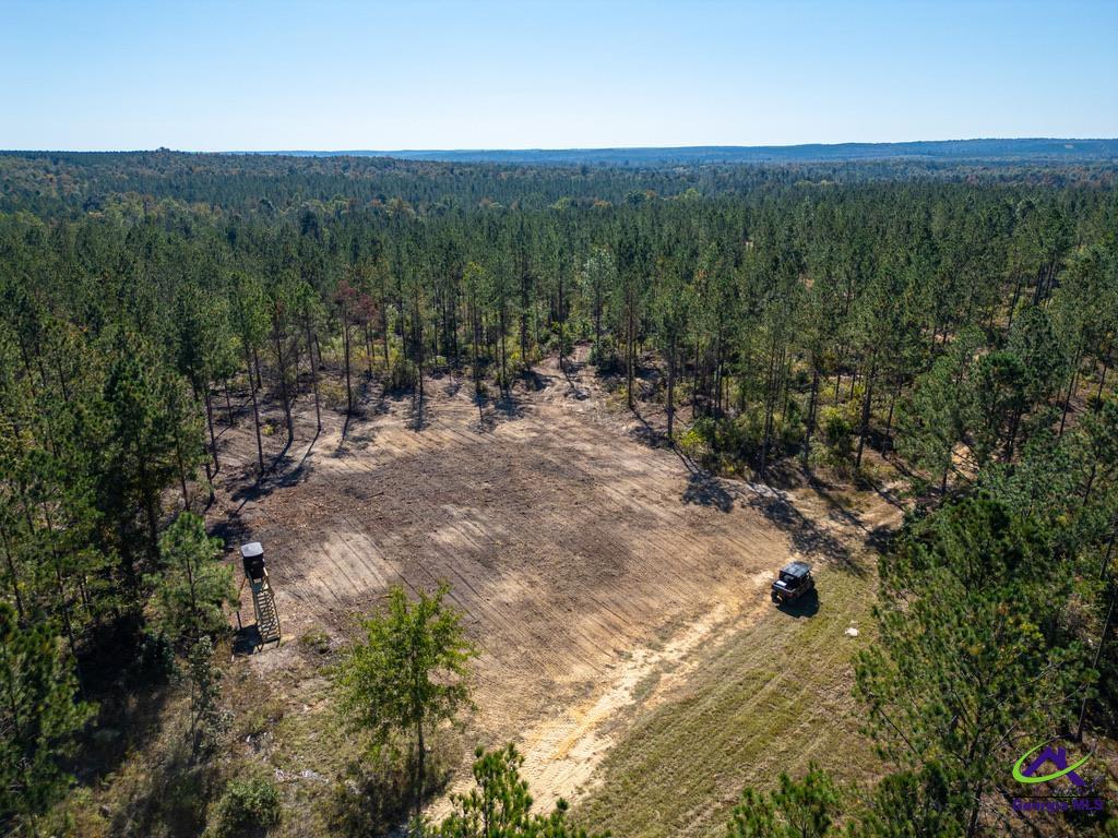 Ohp Dominy Road Toomsboro, GA 31090 - Photo 3 of 24