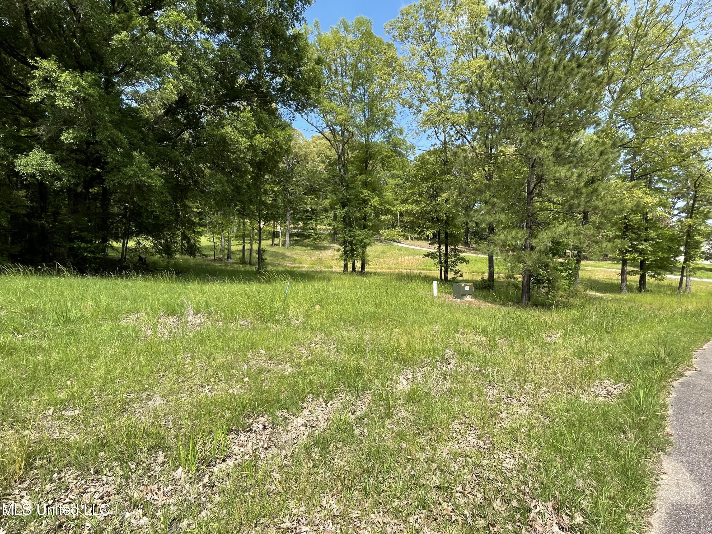 H Dover Lane Madison, MS 39110 - Photo 2 of 3 Lot H 2