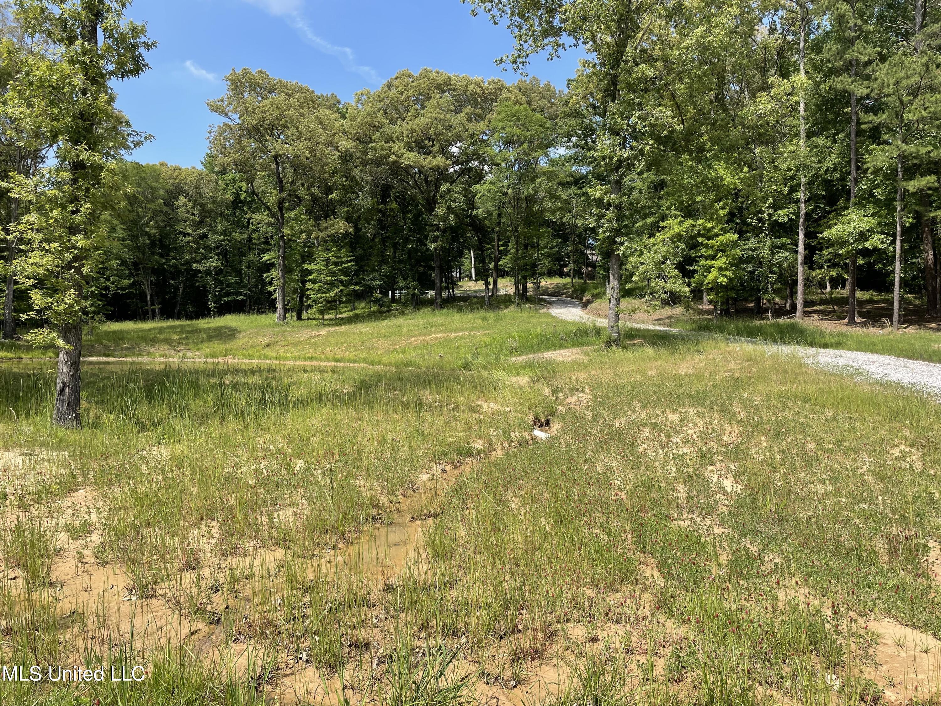 H Dover Lane Madison, MS 39110 - Photo 3 of 3 Lot H 3