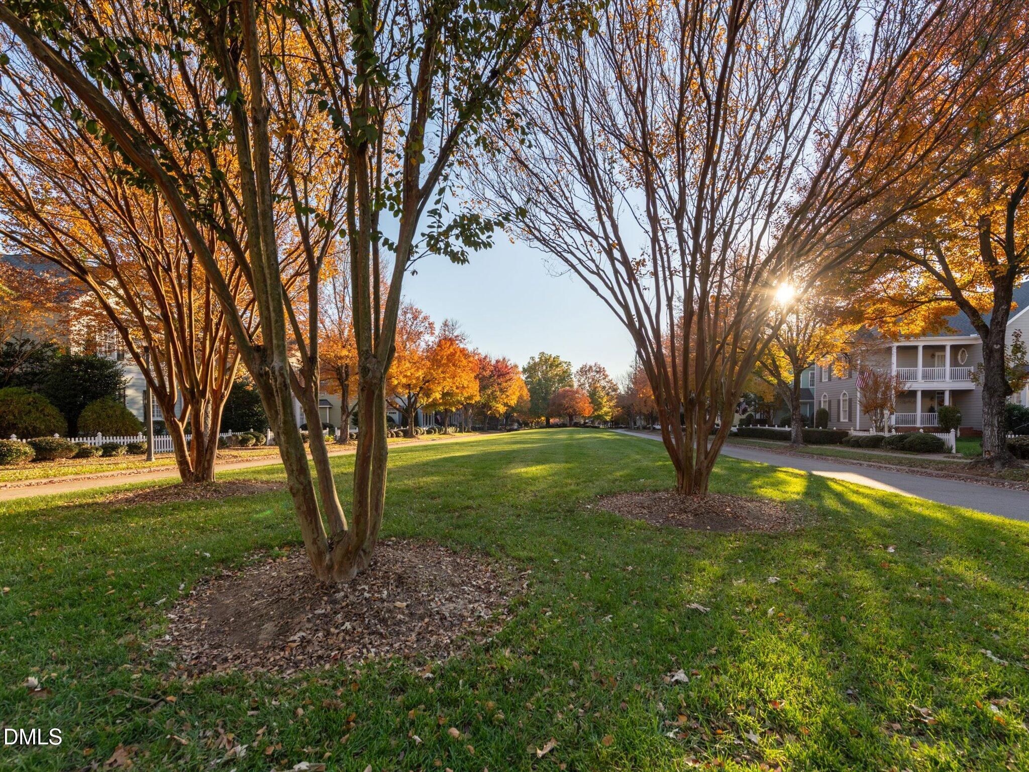 4201 Falls River Avenue Raleigh, NC 27614 - Photo 45 of 52 a view of a house with a backyard
